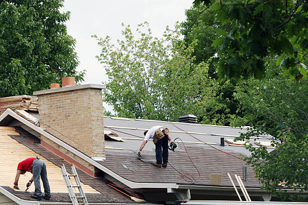 Best Flat Roof Repair Services  in USA